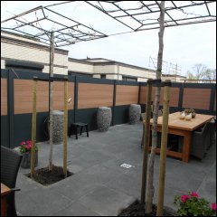 Schuttingen 2